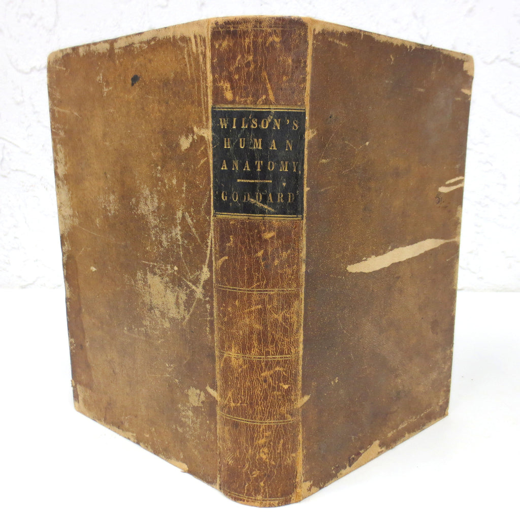 Antique 1856 Human Anatomy Dissection Illustrated Medical Book by Doctor Erasmus Wilson, 251 Illustrations by Gilbert, Blanchard and Lea