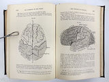 Antique 1893 Anatomy Dissections Medical Book by Heath, 329 Engravings on Wood