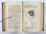 Antique 1879 Anatomy Dissection Medical Book by Ellis, 249 Anatomy Illustrations