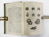 Antique Book 1890 Anatomy Atlas with 135 Engravings, Doctor A. Prodhomme