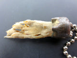 Vintage Taxidermy Rat Paw Charm 1 3/4" Long Nails, Horror, Prop, Necklace