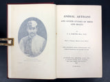 Antique 1907 Birds Beasts Book, Charles John Cornish Naturalist, Molson Brewery