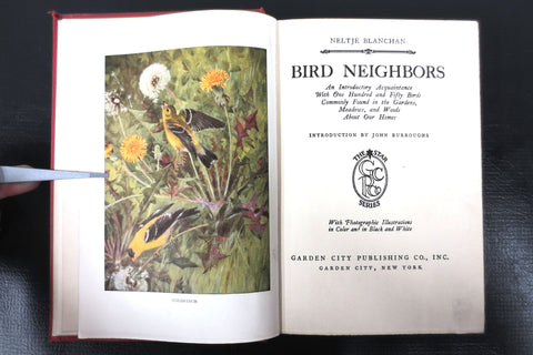 Antique 1922 Bird Neighbors Book by Neltje Blanchan, Color and B&W Plates