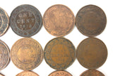 25 Coins Collection Lot of One 1 Cent Canada Coins 1876 1901 1903 1910 1911 1912