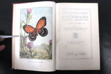 Antique 1917 Butterflies Worth Knowing Book by Clarence Weed, 32 Color Plates