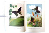 Antique Book on Butterflies by Dr Clarence Weed, 48 Full Color Illustrations