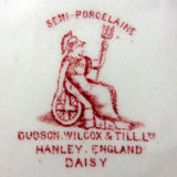 Antique Dudson Wilcox & Till Milk Sugar Porcelain Set, Hanley England, Daisy