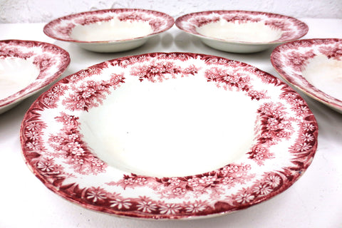 5 Antique Dudson Wilcox & Till Porcelain Soup Bowls 9" Hanley England Daisy Red